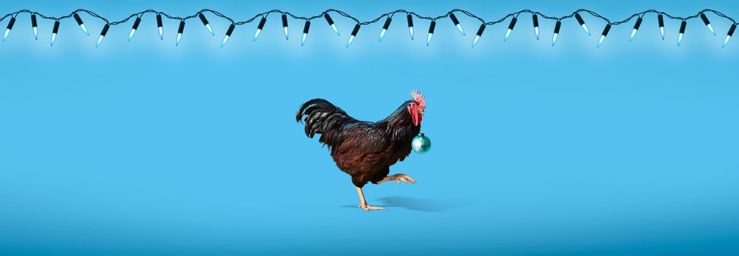 Image: Chicken with Bauble in mouth